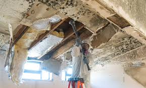 Best Basement Mold Removal  in Sharpsville, PA